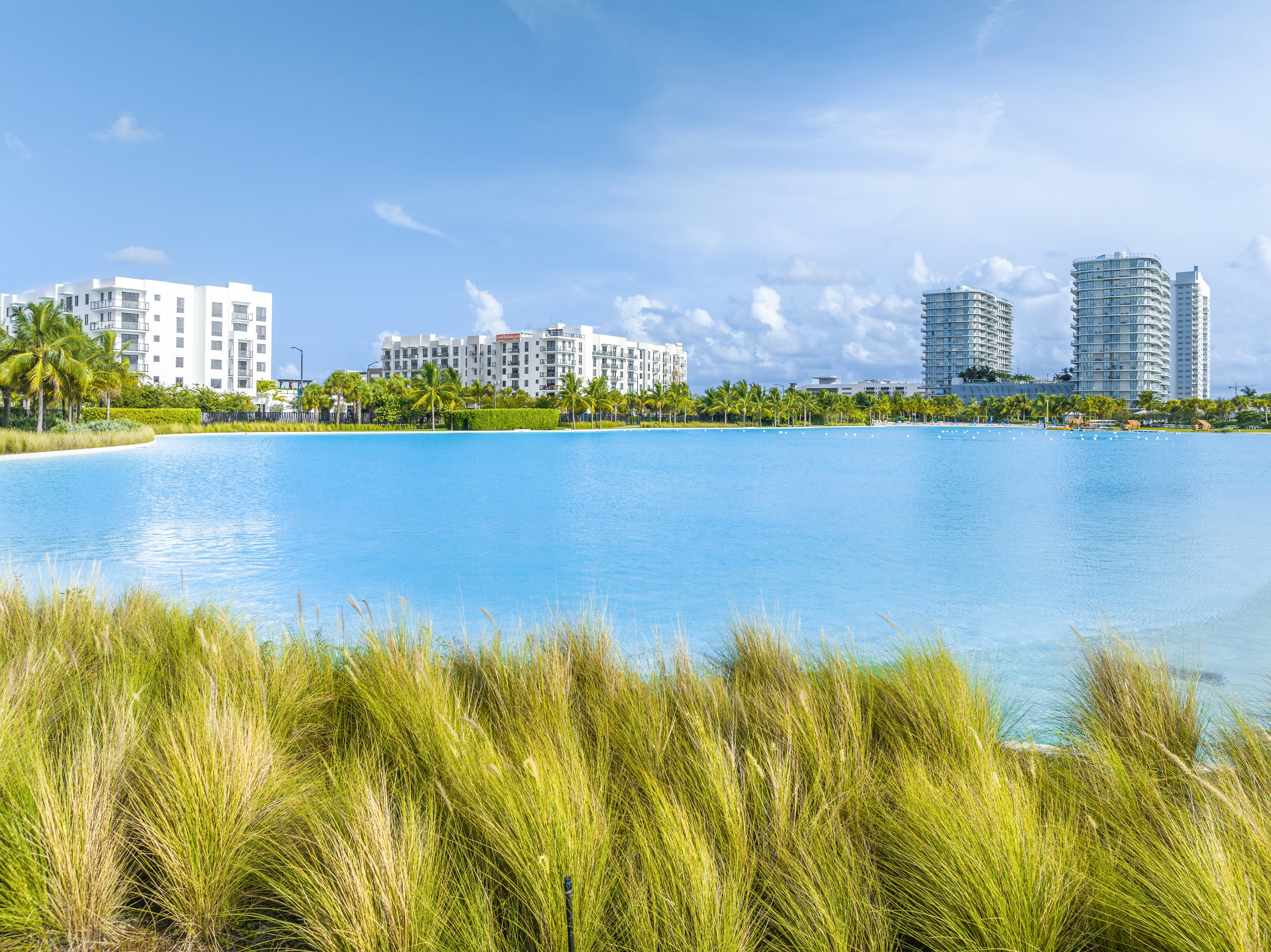 A beachfront with tall grass in the foreground and buildings in the background.